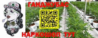 гашик Ипатово