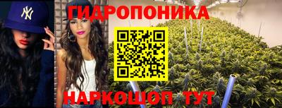 гашик Ипатово