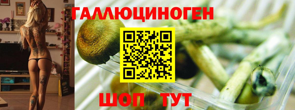 Псилоцибиновые грибы Magic Shrooms Коломна